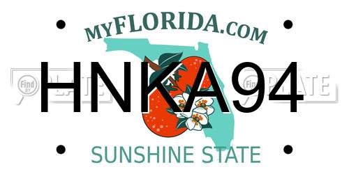 HNKA94 Florida License Plate