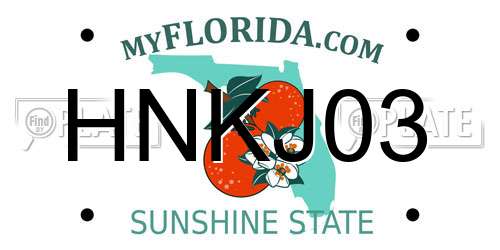 HNKJ03 Florida License Plate