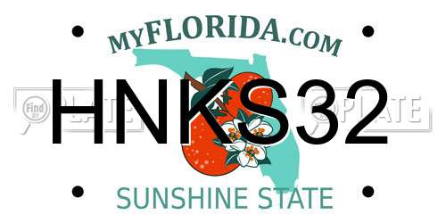 HNKS32 Florida License Plate