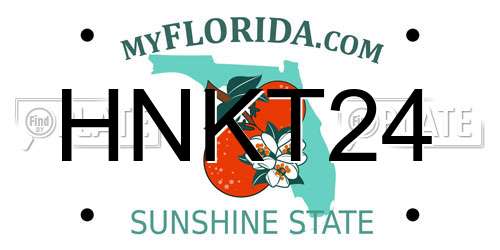 HNKT24 Florida License Plate