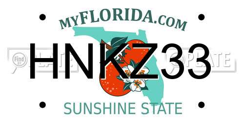 HNKZ33 Florida License Plate