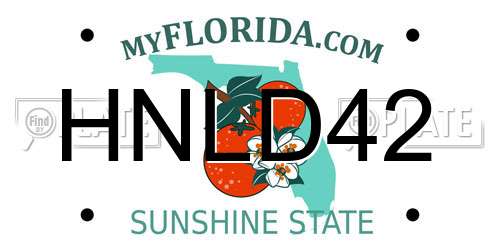 HNLD42 Florida License Plate