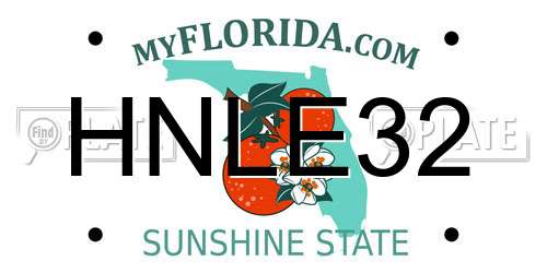 HNLE32 Florida License Plate
