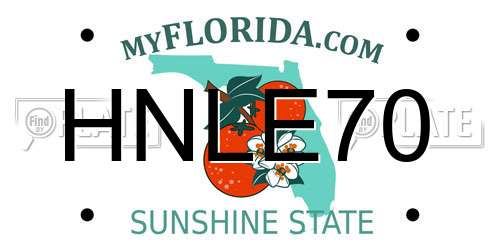 HNLE70 Florida License Plate