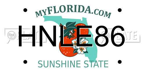HNLE86 Florida License Plate