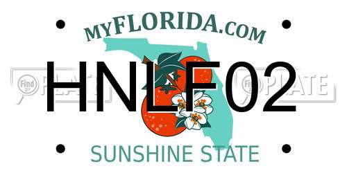 HNLF02 Florida License Plate