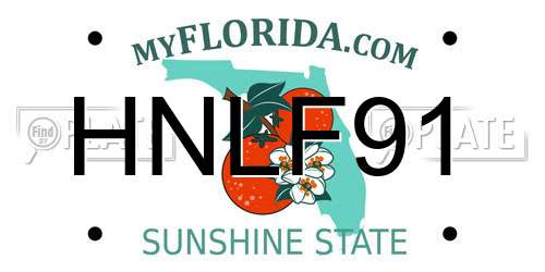 HNLF91 Florida License Plate