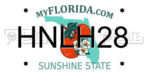 HNLH28 Florida License Plate