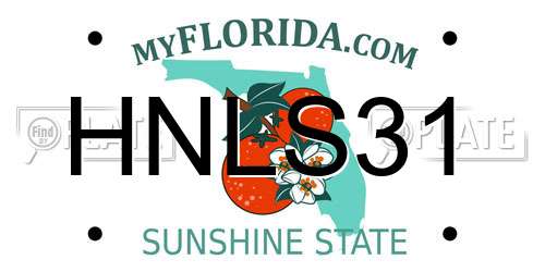 HNLS31 Florida License Plate