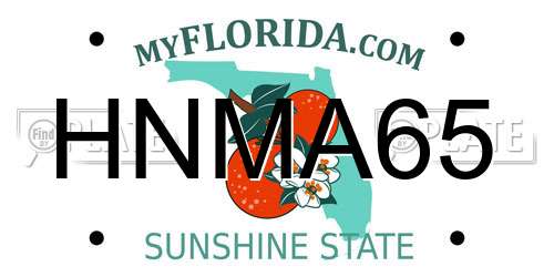 HNMA65 Florida License Plate
