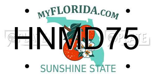 HNMD75 Florida License Plate