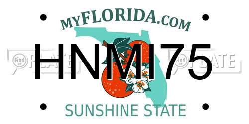 HNMI75 Florida License Plate