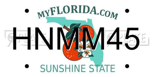 HNMM45 Florida License Plate