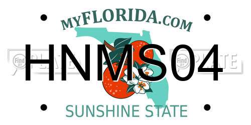 HNMS04 Florida License Plate