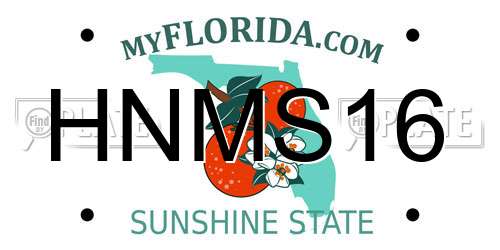 HNMS16 Florida License Plate