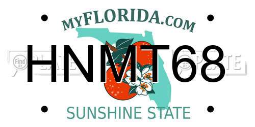HNMT68 Florida License Plate