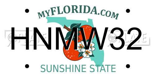 HNMW32 Florida License Plate
