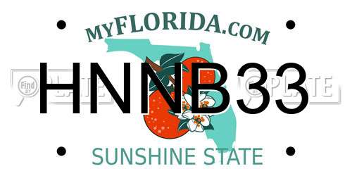 HNNB33 Florida License Plate