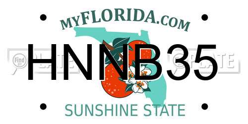 HNNB35 Florida License Plate