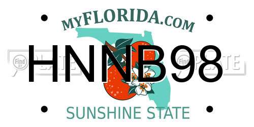 HNNB98 Florida License Plate