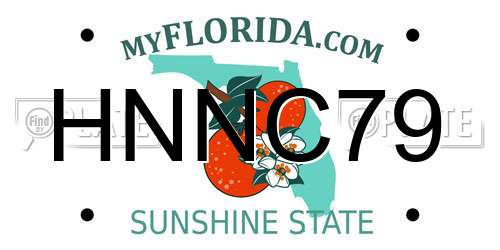 HNNC79 Florida License Plate