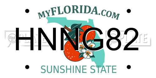 HNNG82 Florida License Plate