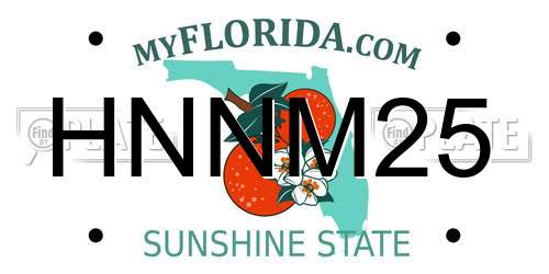 HNNM25 Florida License Plate