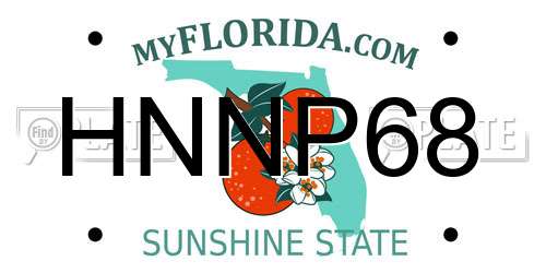HNNP68 Florida License Plate