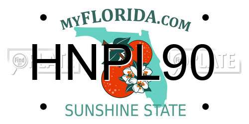 HNPL90 Florida License Plate