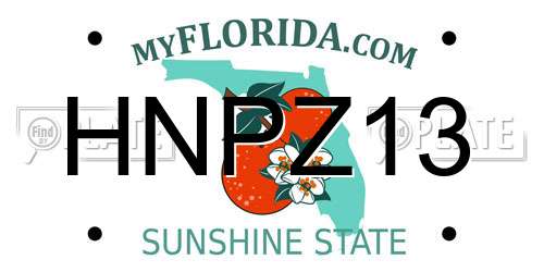 HNPZ13 Florida License Plate