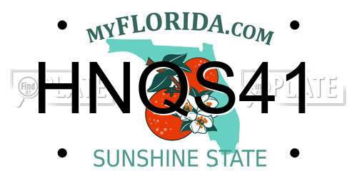 HNQS41 Florida License Plate