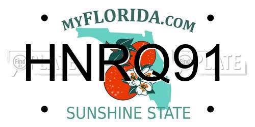HNRQ91 Florida License Plate
