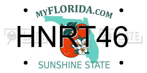HNRT46 Florida License Plate