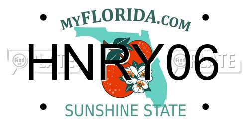 HNRY06 Florida License Plate
