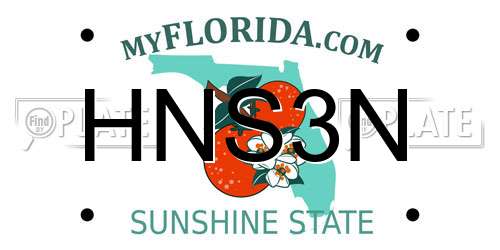 HNS3N Florida License Plate