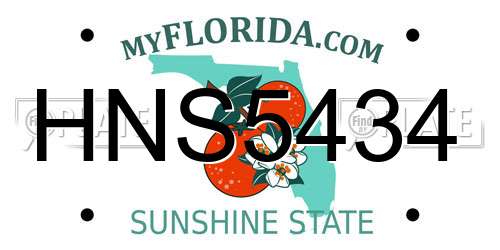 HNS5434 Florida License Plate