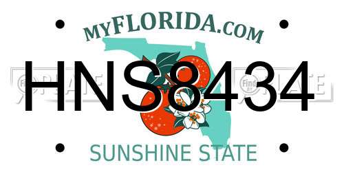 HNS8434 Florida License Plate