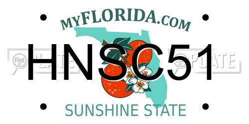 HNSC51 Florida License Plate