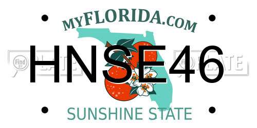 HNSE46 Florida License Plate