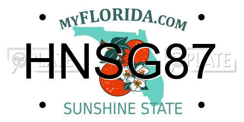 HNSG87 Florida License Plate