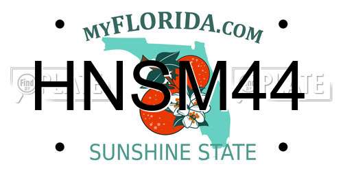 HNSM44 Florida License Plate