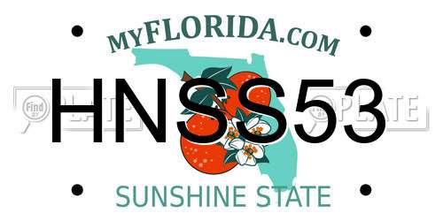 HNSS53 Florida License Plate