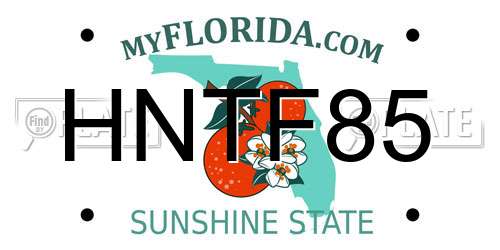 HNTF85 Florida License Plate