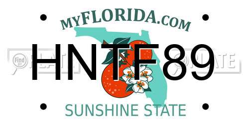 HNTF89 Florida License Plate