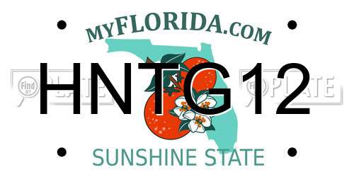 HNTG12 Florida License Plate