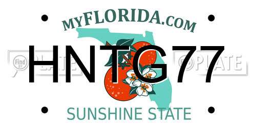 HNTG77 Florida License Plate
