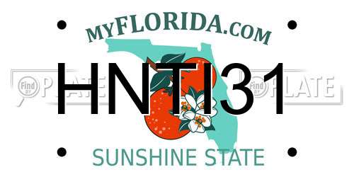 HNTI31 Florida License Plate