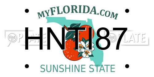 HNTI87 Florida License Plate