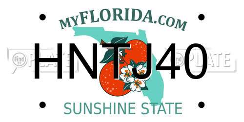 HNTJ40 Florida License Plate
