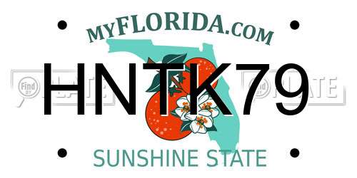 HNTK79 Florida License Plate